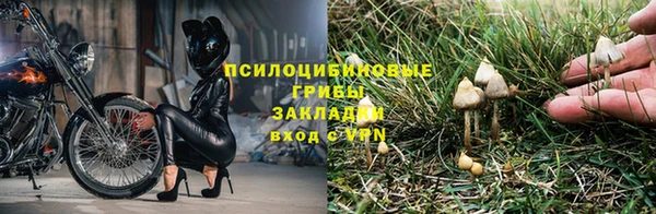 2c-b Навашино