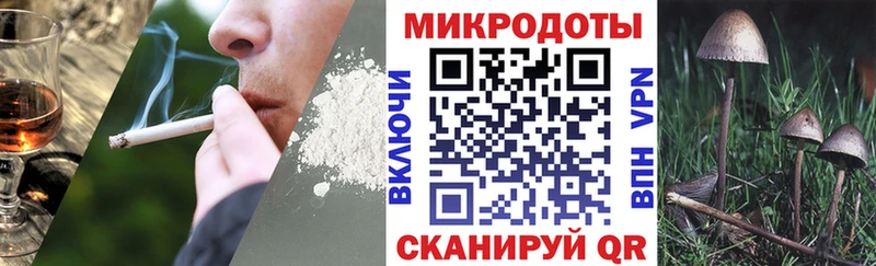 даркнет формула  Красавино  Галлюциногенные грибы MAGIC MUSHROOMS 